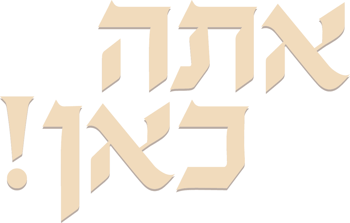 אתה כאן!